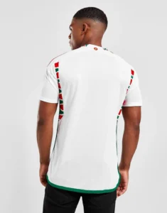 camiseta_gales_suplente_2022_uno
