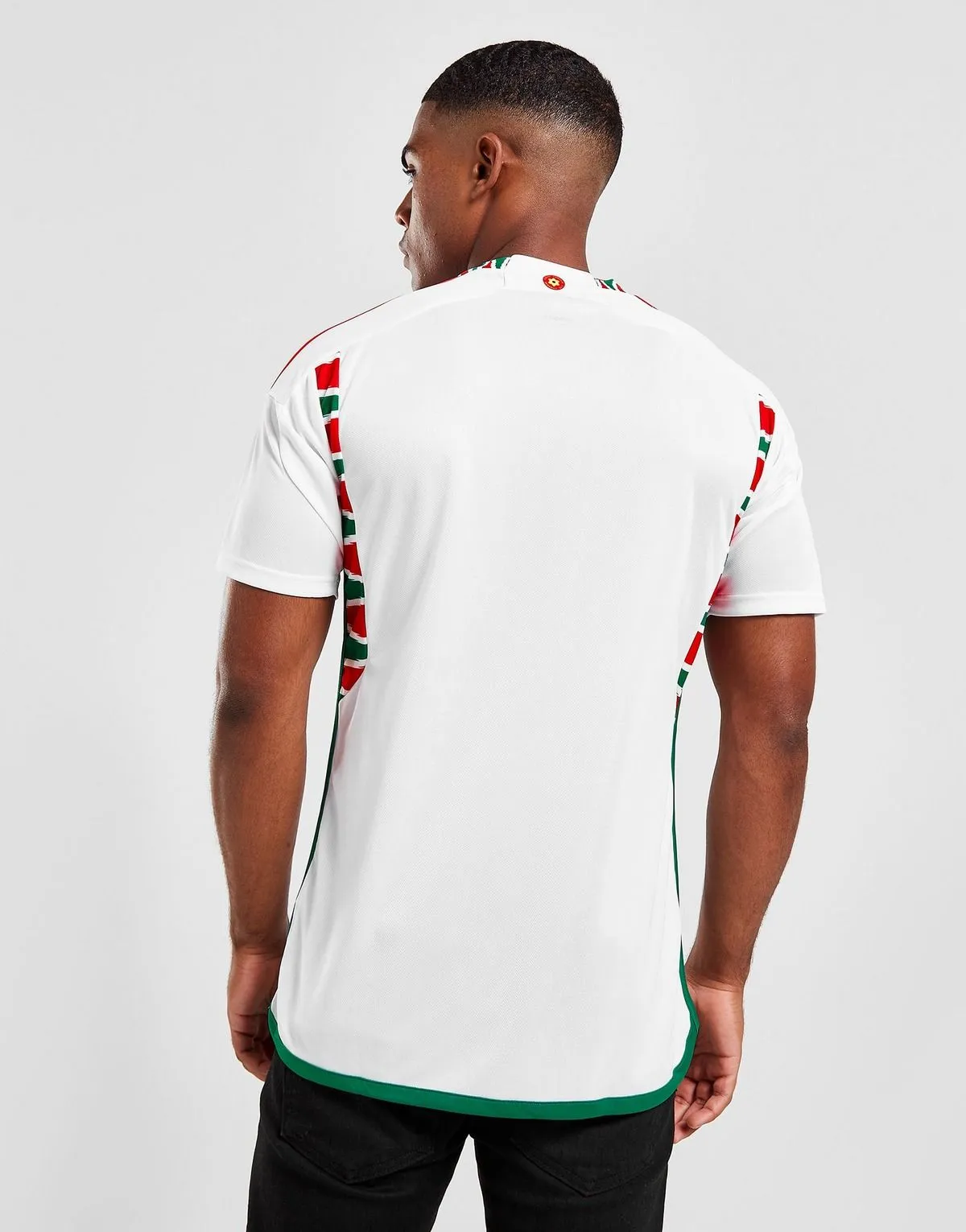 camiseta_gales_suplente_2022_dos